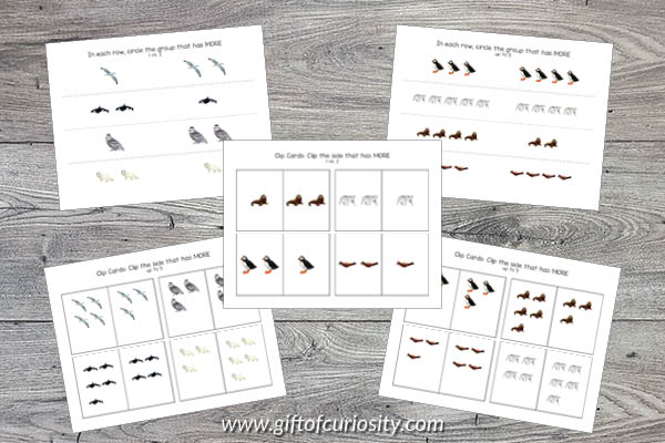 This Arctic Animals Preschool Math Pack features more than 75 pages of developmentally appropriate Arctic animal math activities for children ages 2-4 aligned to preschool learning standards. 