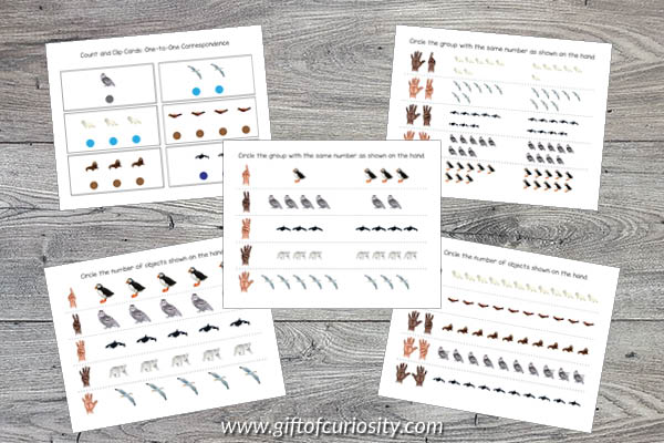 This Arctic Animals Preschool Math Pack features more than 75 pages of developmentally appropriate Arctic animal math activities for children ages 2-4 aligned to preschool learning standards. 