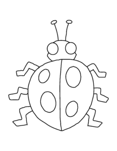 Insects Coloring Pages - ladybug