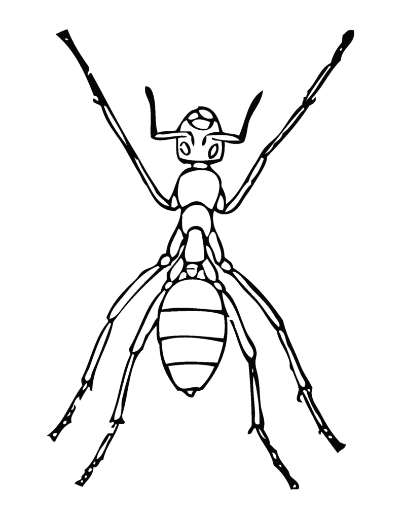 Insects Coloring Pages - ant