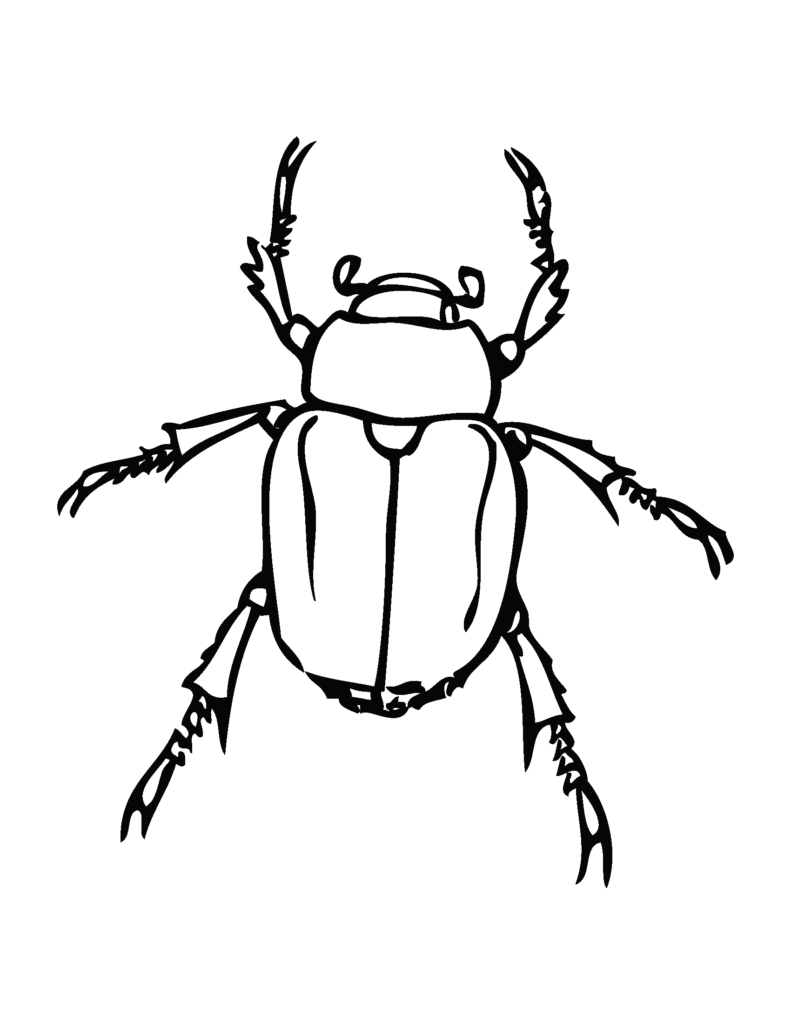 Insects Coloring Pages - beetle