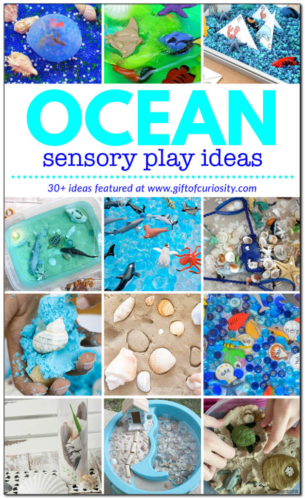 Check out these 30+ ideas for creating an awesome ocean sensory play experience for your kids. Your kids will love these ocean sensory bins, ocean sensory bottles, ocean sensory bags, beach sensory play, shell sensory play, and more. #sensoryplay #ocean #giftofcuriosity #toddlers #preschool #prek #prekinder | Ocean sensory play | Ocean sensory bins | Ocean sensory experiences | Ocean small world play | Ocean sensory bottles | Ocean sensory bags | Beach sensory play || Gift of Curiosity