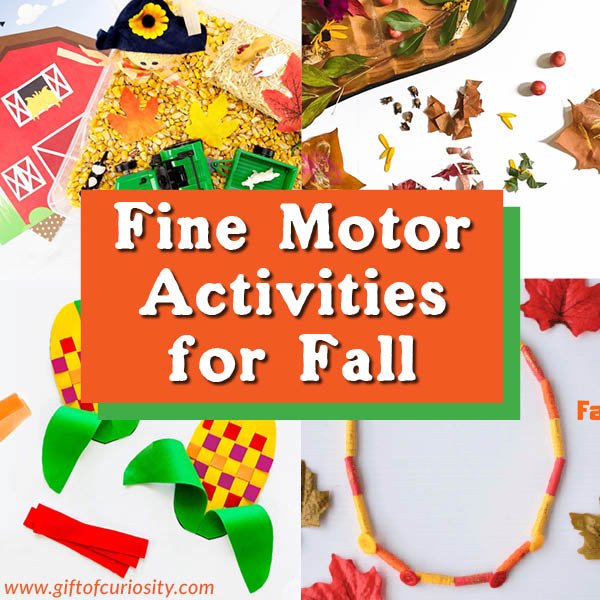 Children are born with immature fine motor skills that must develop over time through physical and neurological maturation along with plenty of fine motor practice. Here are more than a dozen fall-themed activities to support your child's fine motor development through art, sensory play, dramatic play, and games. #finemotor #finemotorskills #finemotorplay #fall #autumn #prek #preschool #giftofcuriosity || Gift of Curiosity