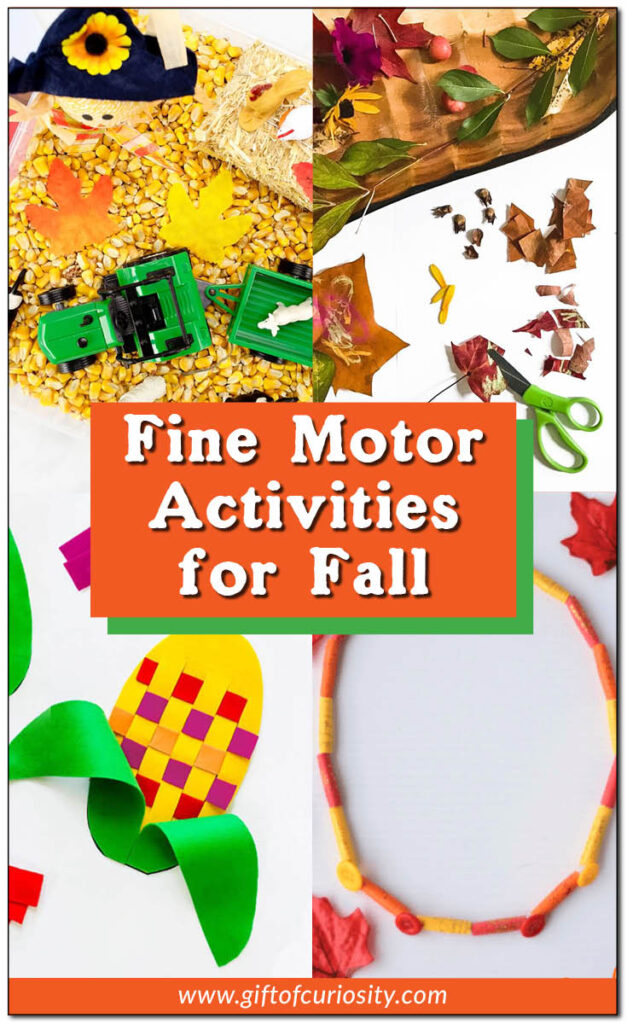 Children are born with immature fine motor skills that must develop over time through physical and neurological maturation along with plenty of fine motor practice. Here are more than a dozen fall-themed activities to support your child's fine motor development through art, sensory play, dramatic play, and games. #finemotor #finemotorskills #finemotorplay #fall #autumn #prek #preschool #giftofcuriosity || Gift of Curiosity