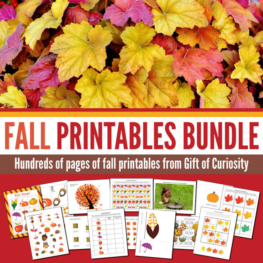 The Fall Printables Bundle from Gift of Curiosity includes more than 450 pages of fall learning printables for kids ages 2 to 8. This bundle features colored leaves, apples, pumpkins, umbrellas, and other fall imagery. Plus, there's a wide variety of printable activities spanning multiple subjects across the curriculum. There's something in this bundle for everyone! #fall #autumn #giftofcuriosity #giftofcuriosityprintables #printables || Gift of Curiosity