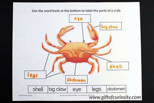 Label the Parts of the Crab worksheet