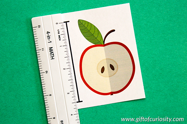 Apples Measurement Activity Pack