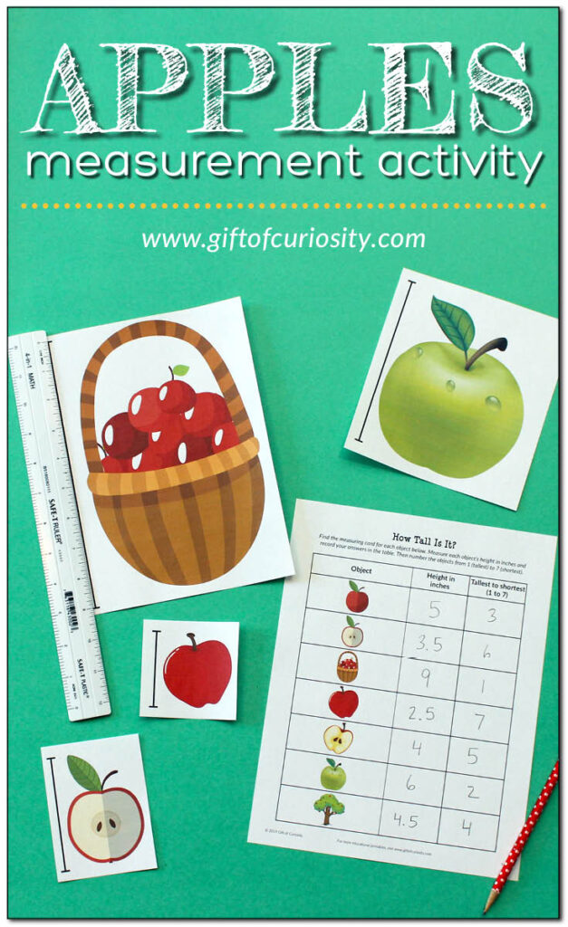 Printable Apples Measurement Activity: Kids use a ruler to measure the height of apple images in either inches or centimeters, then rank the objects from tallest to shortest. Lots of great learning in this low-prep printable activity! #Apples #fall #STEM #STEAM #printables #GiftOfCuriosity #handsonlearning #measurement #measuring || Gift of Curiosity
