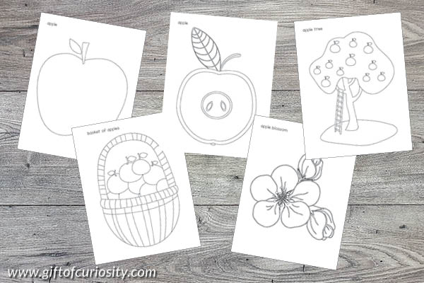 Apple Toddler Skills Pack - coloring pages