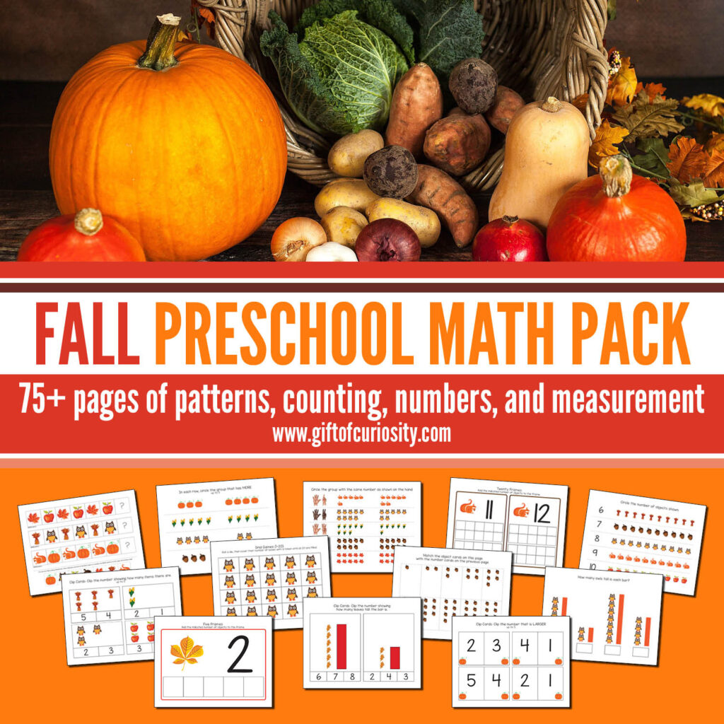 This Fall Preschool Math Pack features more than 75 pages of autumn-themed math activities for children ages 2-5. These developmentally appropriate activities are aligned to preschool learning standards. Grab a copy of these easy print-and-play activities that support the development of a range of early math skills including patterns, numbers, counting, and measurement. #autumn #fall #STEM #printables #giftofcuriosity #preschool #prek #preschoolmath || Gift of Curiosity