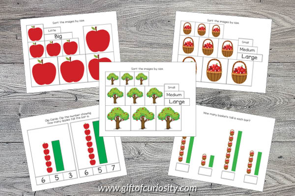 Apple Preschool Math Pack - Measurement Activities