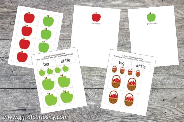 Apple Toddler Skills Pack - sorting by color and size