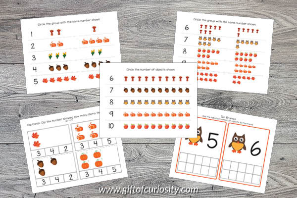 Fall Preschool Math Pack - numbers activities