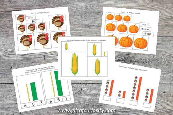 Thanksgiving Preschool Math Pack size and measurement activities