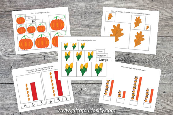 Fall Preschool Math Pack - size and measurement activities