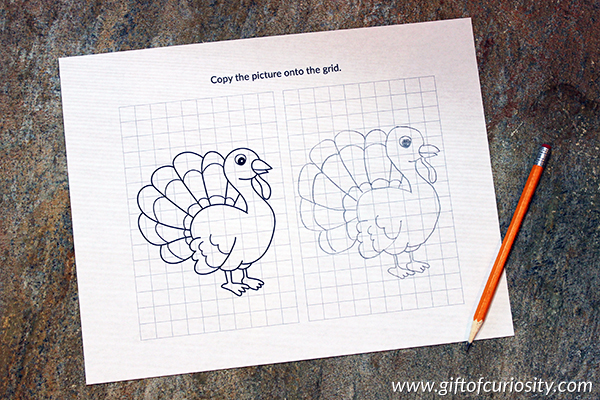 Turkey Drawing Pages
