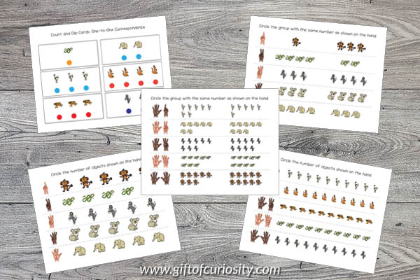 Zoo Animals Preschool Math Pack: Counting activities