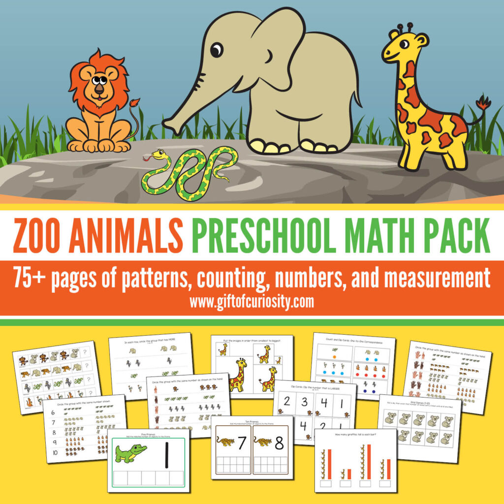This Zoo Animals Preschool Math Pack features more than 75 pages of zoo animal-themed math activities for children ages 2-5. These developmentally appropriate activities are aligned to preschool learning standards. Grab a copy of these easy print-and-play activities that support the development of a range of early math skills including patterns, numbers, counting, and measurement. #zoo #zoology #STEM #printables #giftofcuriosity #preschool #prek #preschoolmath || Gift of Curiosity