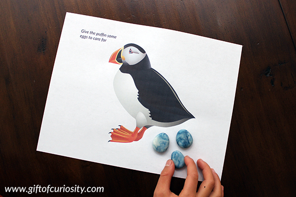 Arctic Animals Play Dough Mats featuring the puffin
