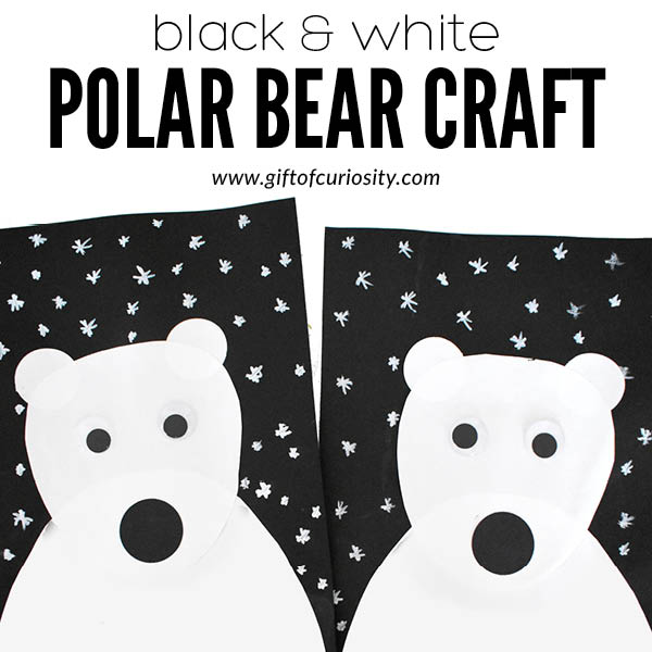 Learn how to create this simple black and white polar bear craft using the free provided template. #polarbear #arcticanimals #giftofcuriosity #thearctic #arcticanimal #polarbears #artsandcrafts #winter #wintercrafts || Gift of Curiosity