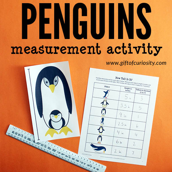 Printable Penguins Measurement Activity: Kids use a ruler to measure the height of adorable penguins in either inches or centimeters, then rank the penguins from tallest to shortest. Lots of great learning in this low-prep printable activity! #STEM #STEAM #printables #GiftOfCuriosity #handsonlearning #measurement #measuring #penguins #Antarctica #polarregions || Gift of Curiosity