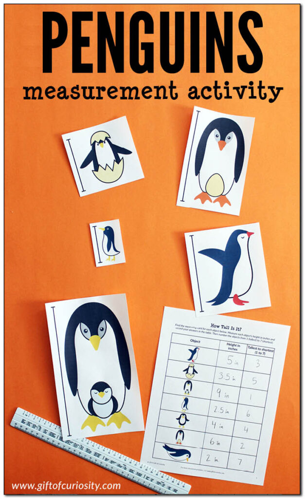 Printable Penguins Measurement Activity: Kids use a ruler to measure the height of adorable penguins in either inches or centimeters, then rank the penguins from tallest to shortest. Lots of great learning in this low-prep printable activity! #STEM #STEAM #printables #GiftOfCuriosity #handsonlearning #measurement #measuring #penguins #Antarctica #polarregions || Gift of Curiosity