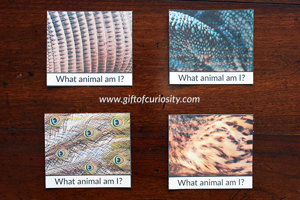 What Animal Am I? Matching Cards