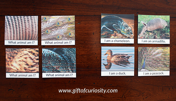 What Animal Am I? Matching Cards