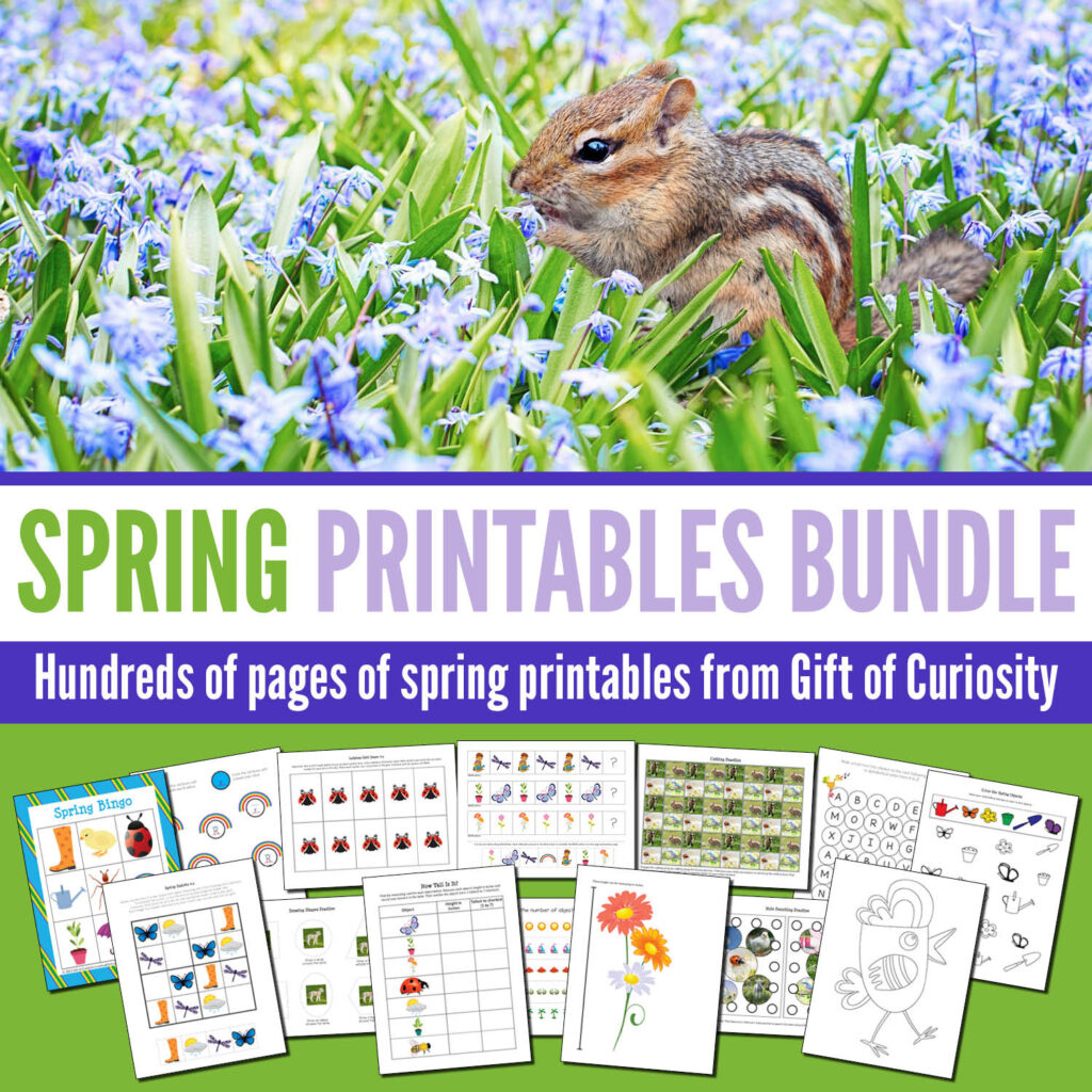 The Spring Printables Bundle from Gift of Curiosity includes more than 425 pages of printable spring activities for kids ages 2 to 8. This bundle features insects, baby animals, rainbows, flowers, and other spring imagery. Plus, there's a wide variety of printable activities spanning multiple subjects across the curriculum. There's something in this bundle for everyone! #spring #giftofcuriosity #giftofcuriosityprintables #printables || Gift of Curiosity