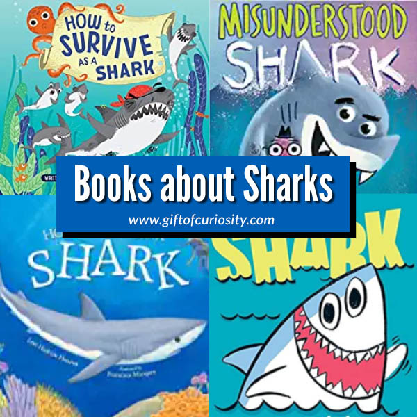 15 kid-friendly books about sharks for ages 3 to 11. This selection of books includes both fiction and non-fiction books guaranteed to inspire kids to learn about these magnificent ocean creatures.  #sharks #booklist #giftofcuriosity || Gift of Curiosity