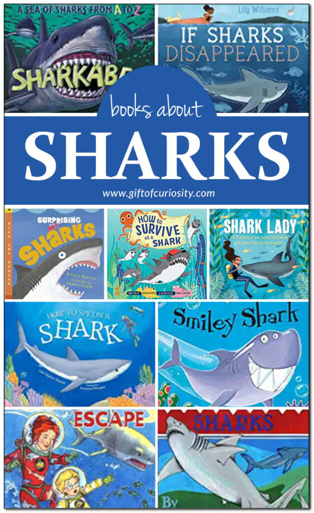 15 kid-friendly books about sharks for ages 3 to 11. This selection of books includes both fiction and non-fiction books guaranteed to inspire kids to learn about these magnificent ocean creatures.  #sharks #booklist #giftofcuriosity || Gift of Curiosity