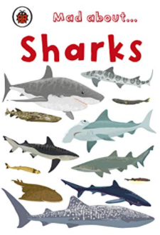 Mad About Sharks by Deborah Jane Murrell