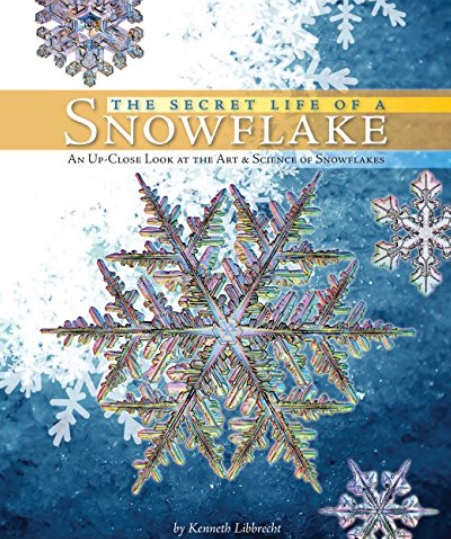 The Secret Life of a Snowflake by Kenneth Libbrecht